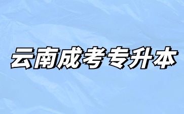 2024年云南成考专升本报名时间？